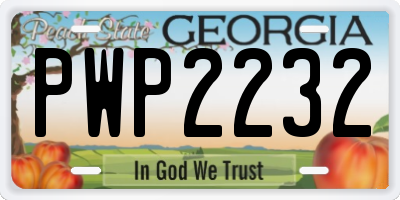 GA license plate PWP2232