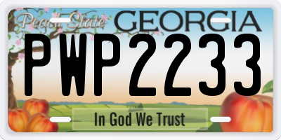 GA license plate PWP2233