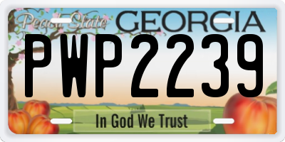 GA license plate PWP2239