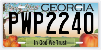GA license plate PWP2240