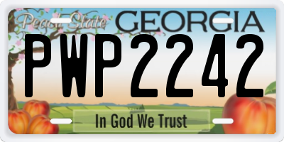 GA license plate PWP2242