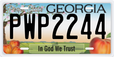 GA license plate PWP2244