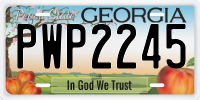 GA license plate PWP2245