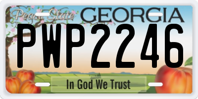GA license plate PWP2246
