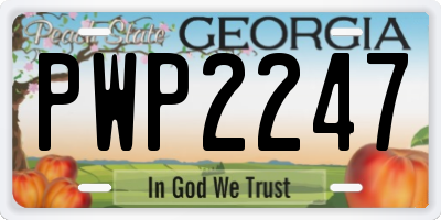 GA license plate PWP2247