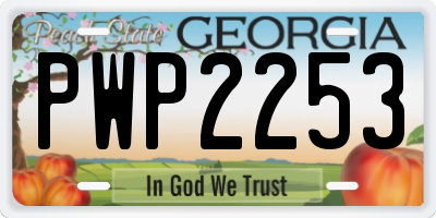GA license plate PWP2253