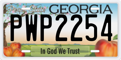 GA license plate PWP2254