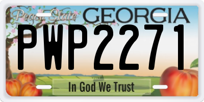 GA license plate PWP2271