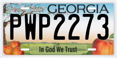 GA license plate PWP2273