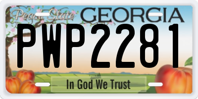 GA license plate PWP2281