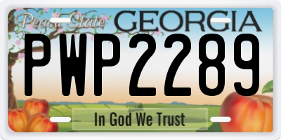 GA license plate PWP2289