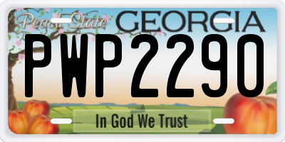 GA license plate PWP2290