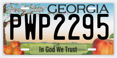 GA license plate PWP2295
