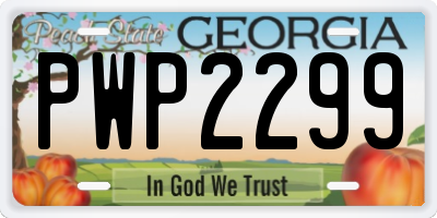 GA license plate PWP2299