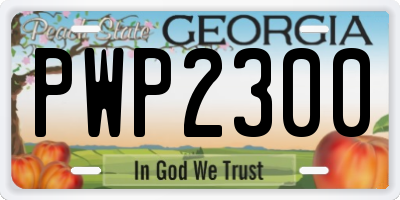 GA license plate PWP2300