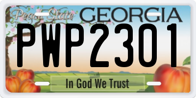 GA license plate PWP2301