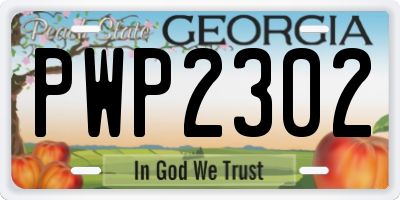 GA license plate PWP2302