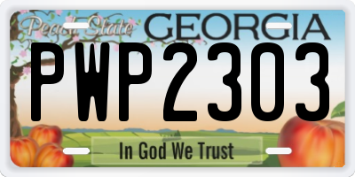 GA license plate PWP2303