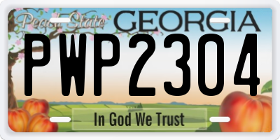 GA license plate PWP2304