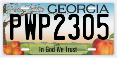 GA license plate PWP2305