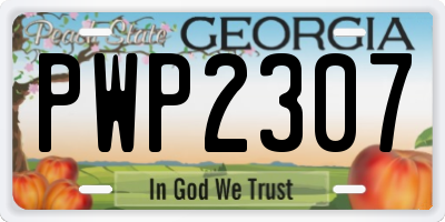 GA license plate PWP2307