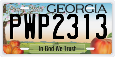 GA license plate PWP2313