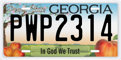 GA license plate PWP2314
