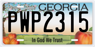 GA license plate PWP2315