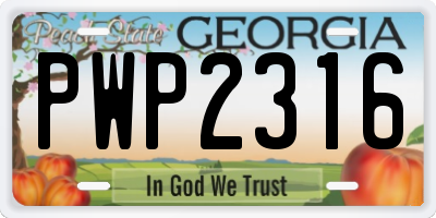 GA license plate PWP2316