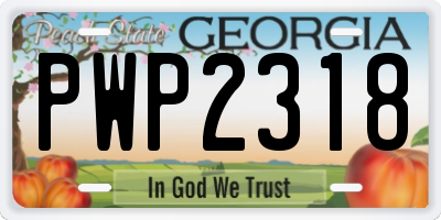 GA license plate PWP2318