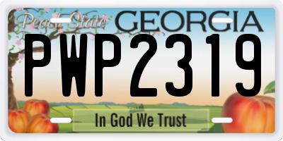 GA license plate PWP2319