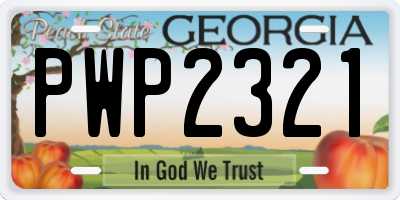 GA license plate PWP2321