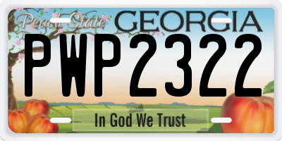 GA license plate PWP2322