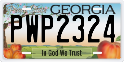 GA license plate PWP2324