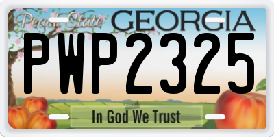 GA license plate PWP2325