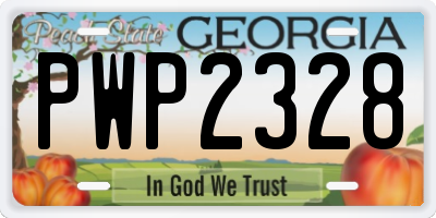 GA license plate PWP2328