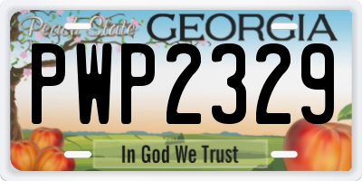 GA license plate PWP2329