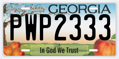 GA license plate PWP2333