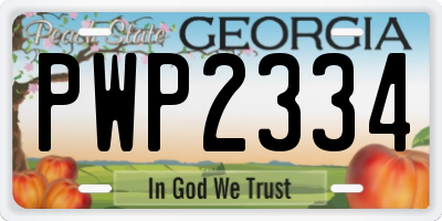 GA license plate PWP2334