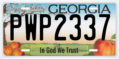 GA license plate PWP2337