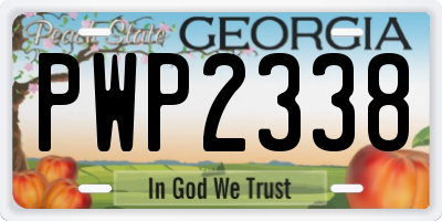 GA license plate PWP2338