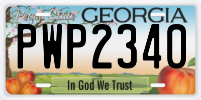GA license plate PWP2340