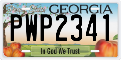 GA license plate PWP2341