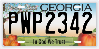 GA license plate PWP2342