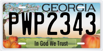 GA license plate PWP2343