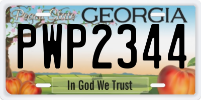 GA license plate PWP2344