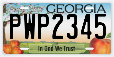 GA license plate PWP2345