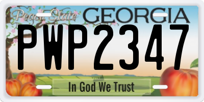 GA license plate PWP2347