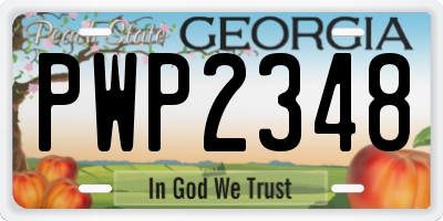 GA license plate PWP2348
