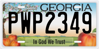 GA license plate PWP2349